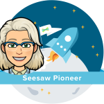 Seesaw Pioneer